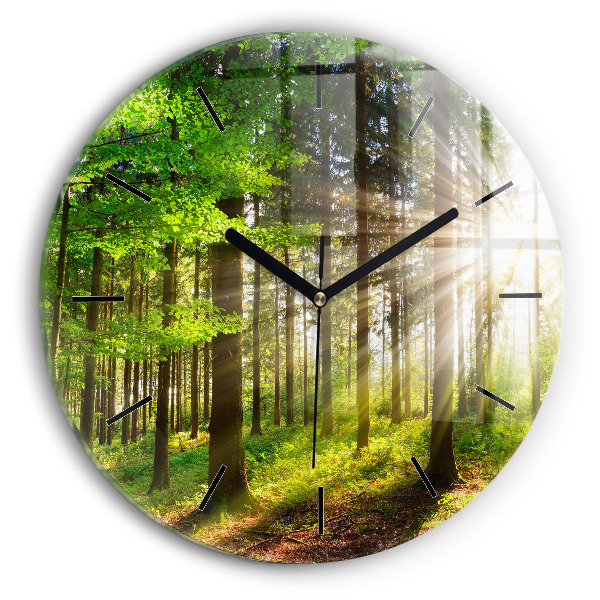Orologio rotondo Alba nella foresta
