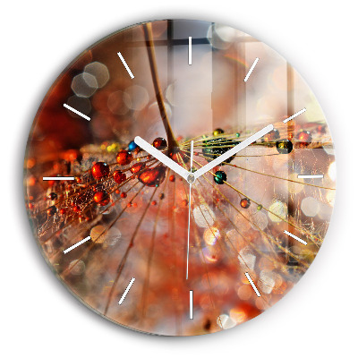 Orologio rotondo Dente di leone con rugiada