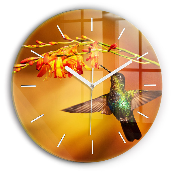 Orologio rotondo in vetro Uccello colibrì