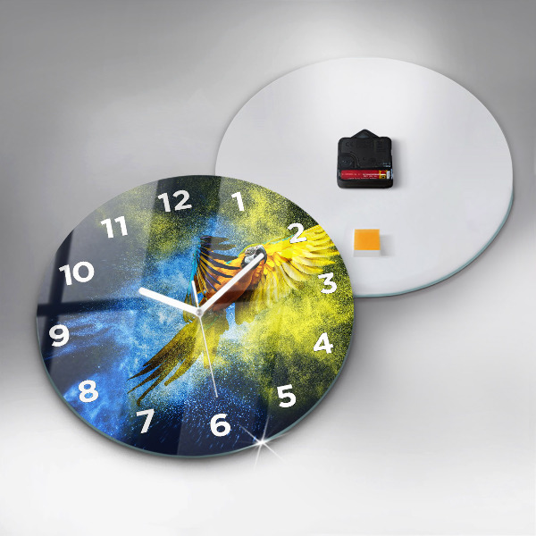 Orologio rotondo in vetro Pappagallo colorato