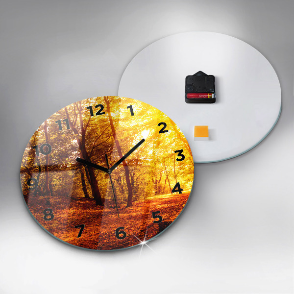 Orologio rotondo in vetro Paesaggio forestale al sole