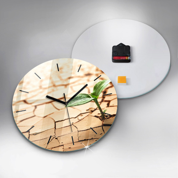 Orologio rotondo Piantare in terreno asciutto