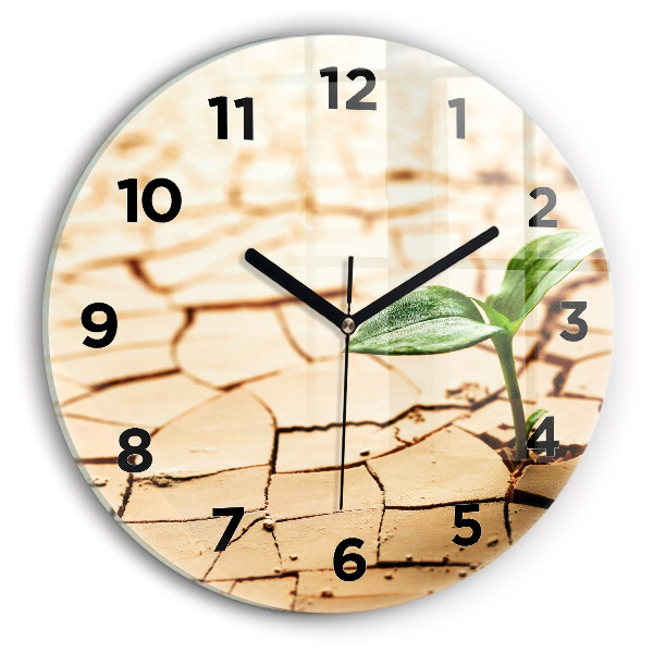 Orologio rotondo Piantare in terreno asciutto