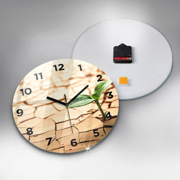 Orologio rotondo Piantare in terreno asciutto