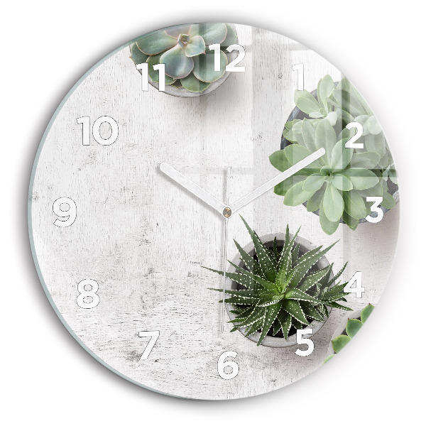 Orologio rotondo Piante ornamentali