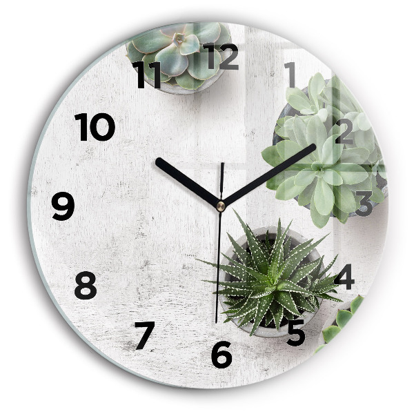Orologio rotondo Piante ornamentali